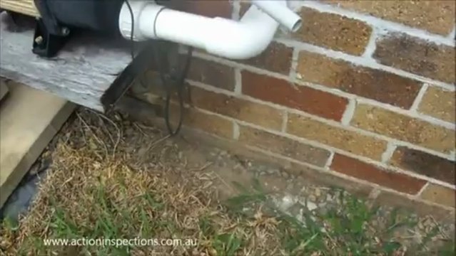 Termite Prevention - Building Inspections Brisbane