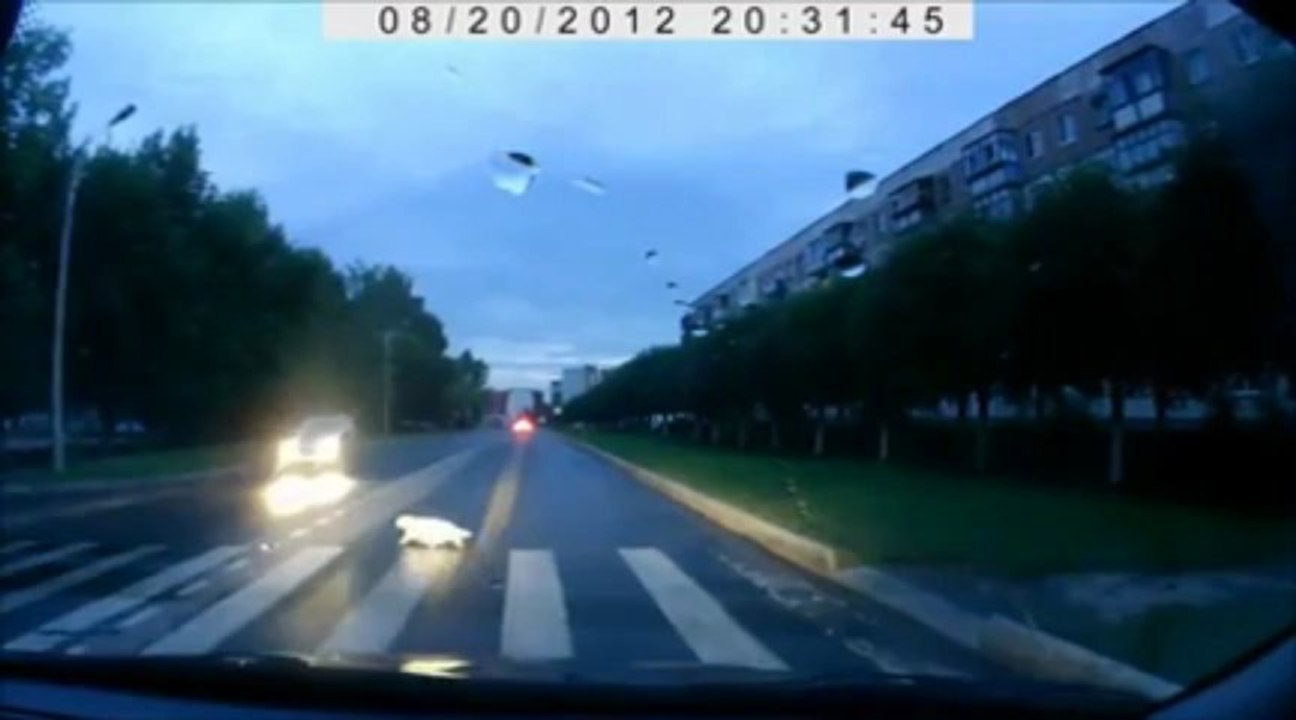 Ordinary Day In a Russian Village