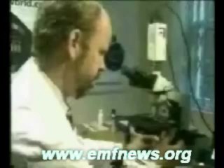 Wireless Radiation, Microwave Radiation Protection