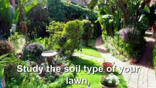 What is a Garden Design Contractor