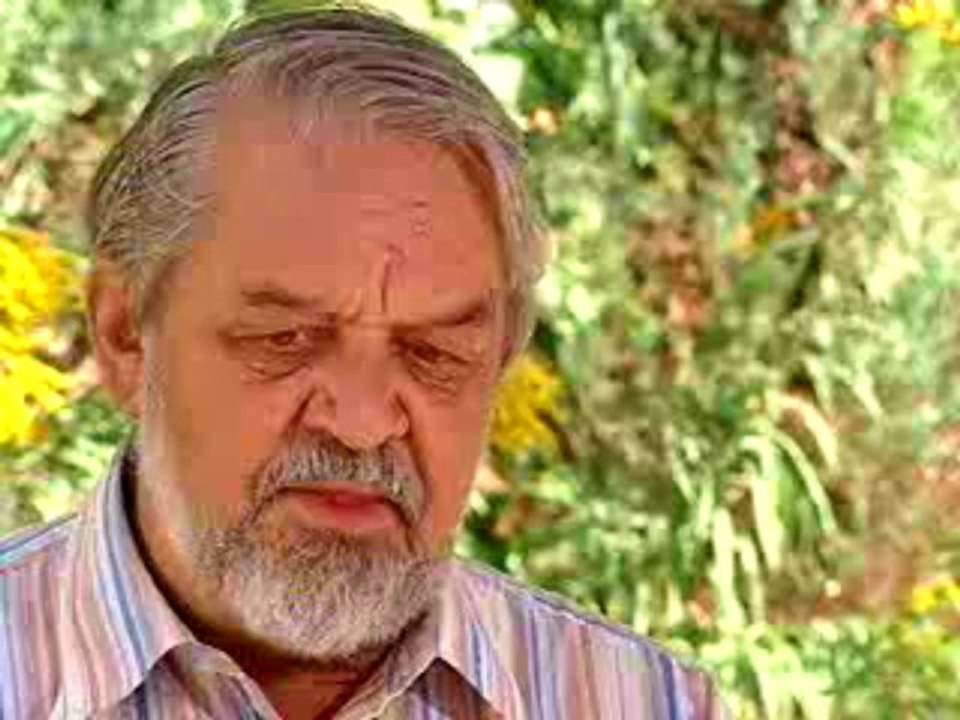 Magnetic Radiation Shielding, Cell Phone Radiation Harmful