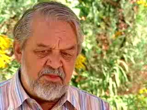 Magnetic Radiation Shielding, Cell Phone Radiation Harmful