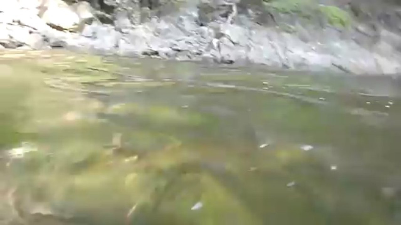 Vue aquatique broc 05-13