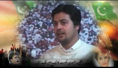 PPPP - TV Ad  - Reinstatement and Regularization