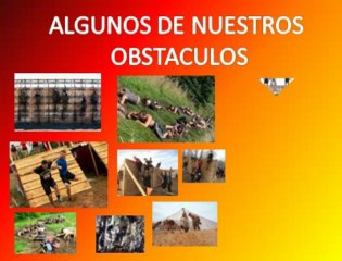 Preparando rueda de prensa