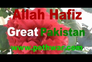 PML Q PPP Manglora,Sarhoa ,Jinnah Colony Kallar