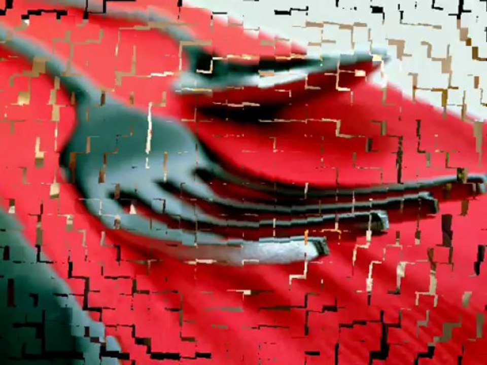 Banner Ads On Your Website - Sflorida