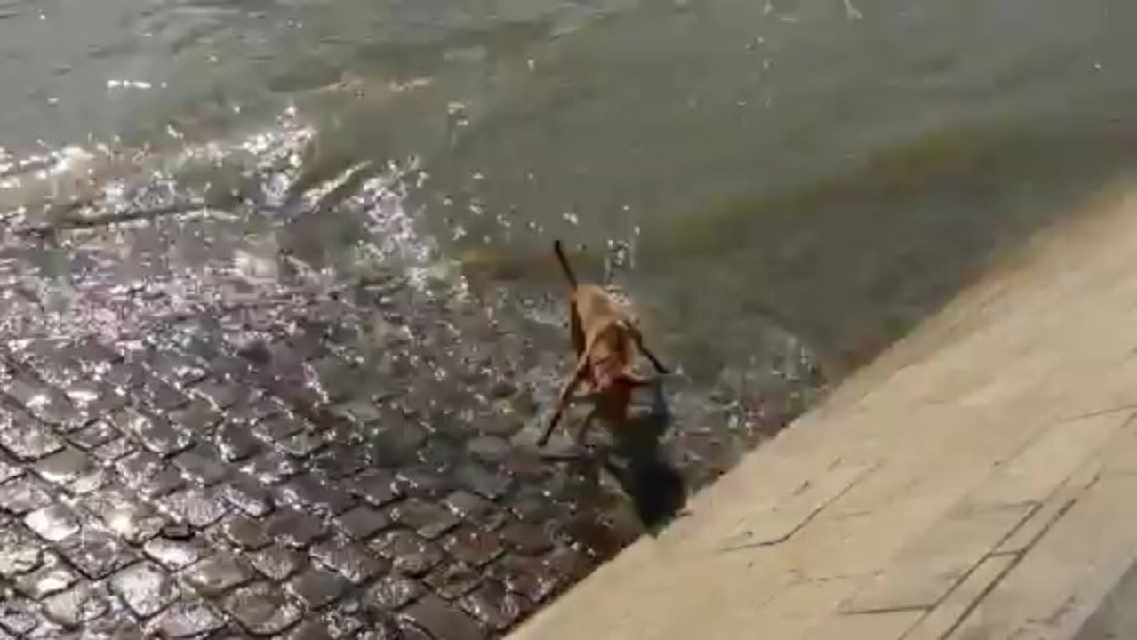 Aitch, la Seine. La Seine, Aitch.