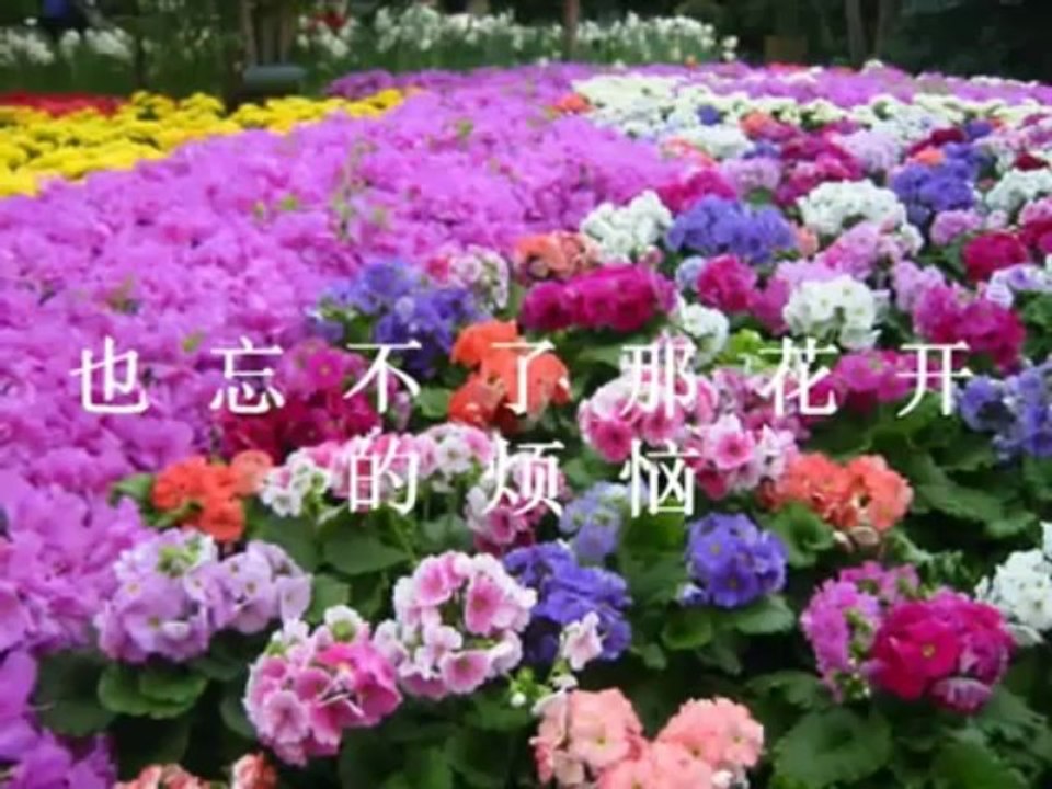 不了情  Love Without End (Bu Liao Qing)