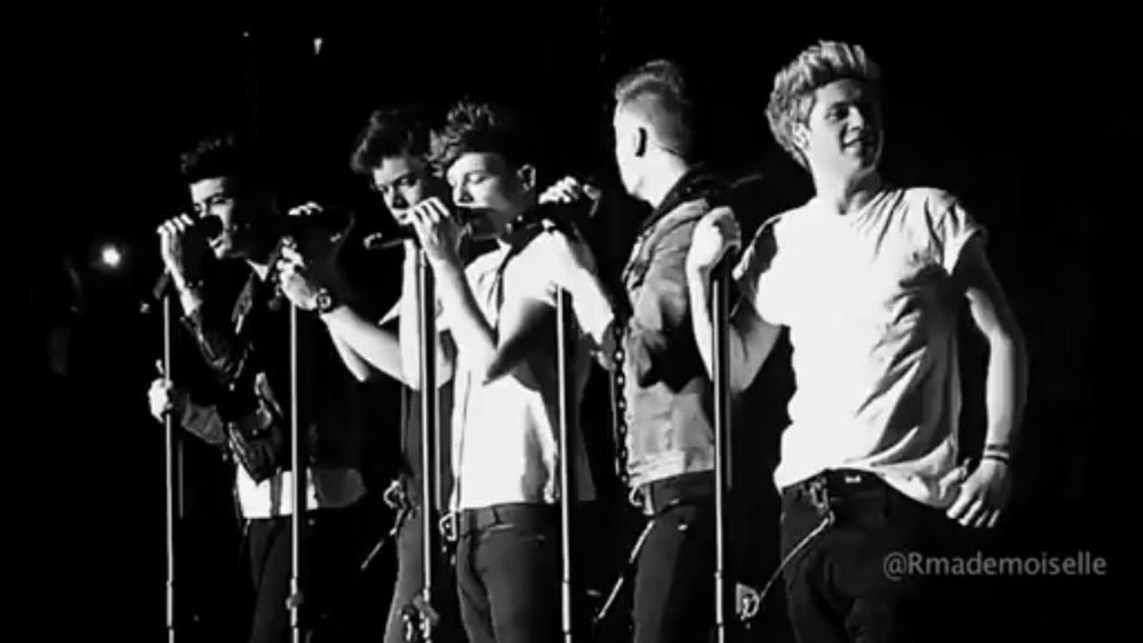 Les 1D à Paris Bercy le 29 Avril 2013