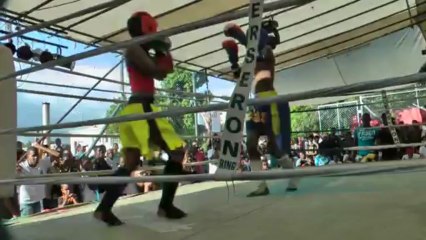 Male vs Female Fight