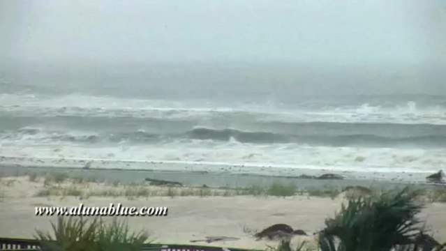 Stock Footage - Video Backgrounds - Stock Video - Coastal 0311