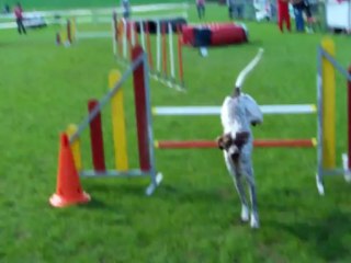 Stef Louhans 05 mai 2013 (16)