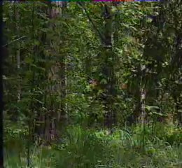 jyväskylän suurajot-1996 parhaat osa 6. yle.tv