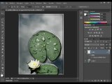 tutorial photoschop semplice