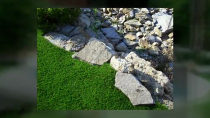 Pelouse artificielle Toulon tel : 04 13 25 63 68 - Pelouse artificielle Toulon tel : 04 13 25 63 68
