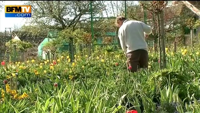 James Priest, le jardinier anglais de Giverny - 0505