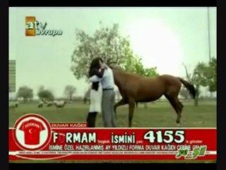 Sila & Boran - Tvrđava