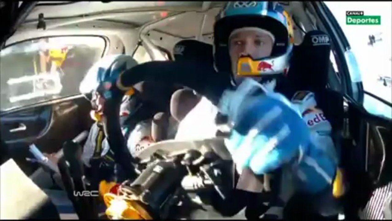WRC Rally Argentina 2013 - Day 3 (RallyPulse.com)