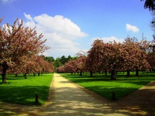 PRINTEMPS de SCEAUX