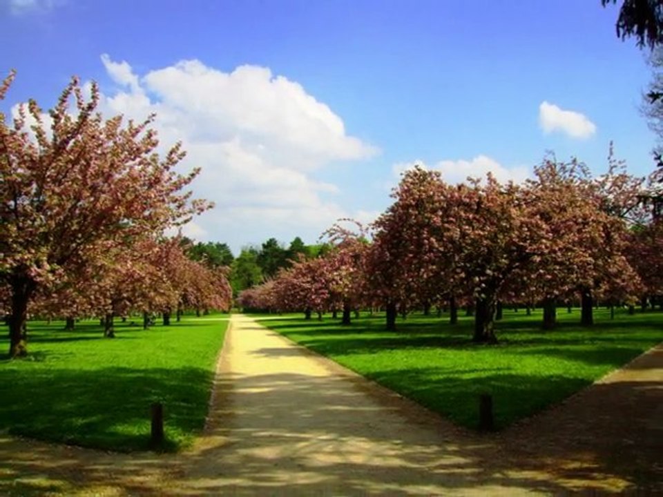 PRINTEMPS de SCEAUX