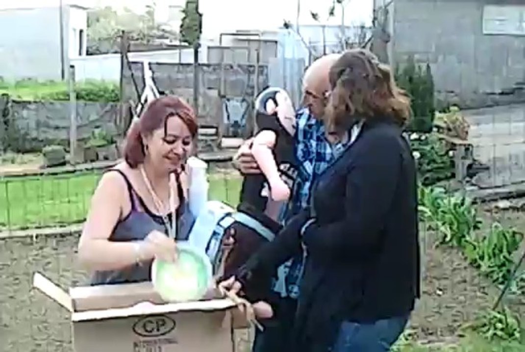 re suite anniv severine