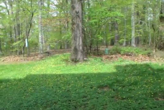 1801 Monroe Lane, Ambler, PA