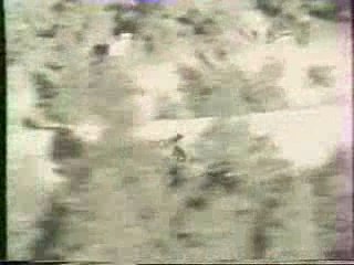 Rally - Ari Vatanen in Peugeot 205T16