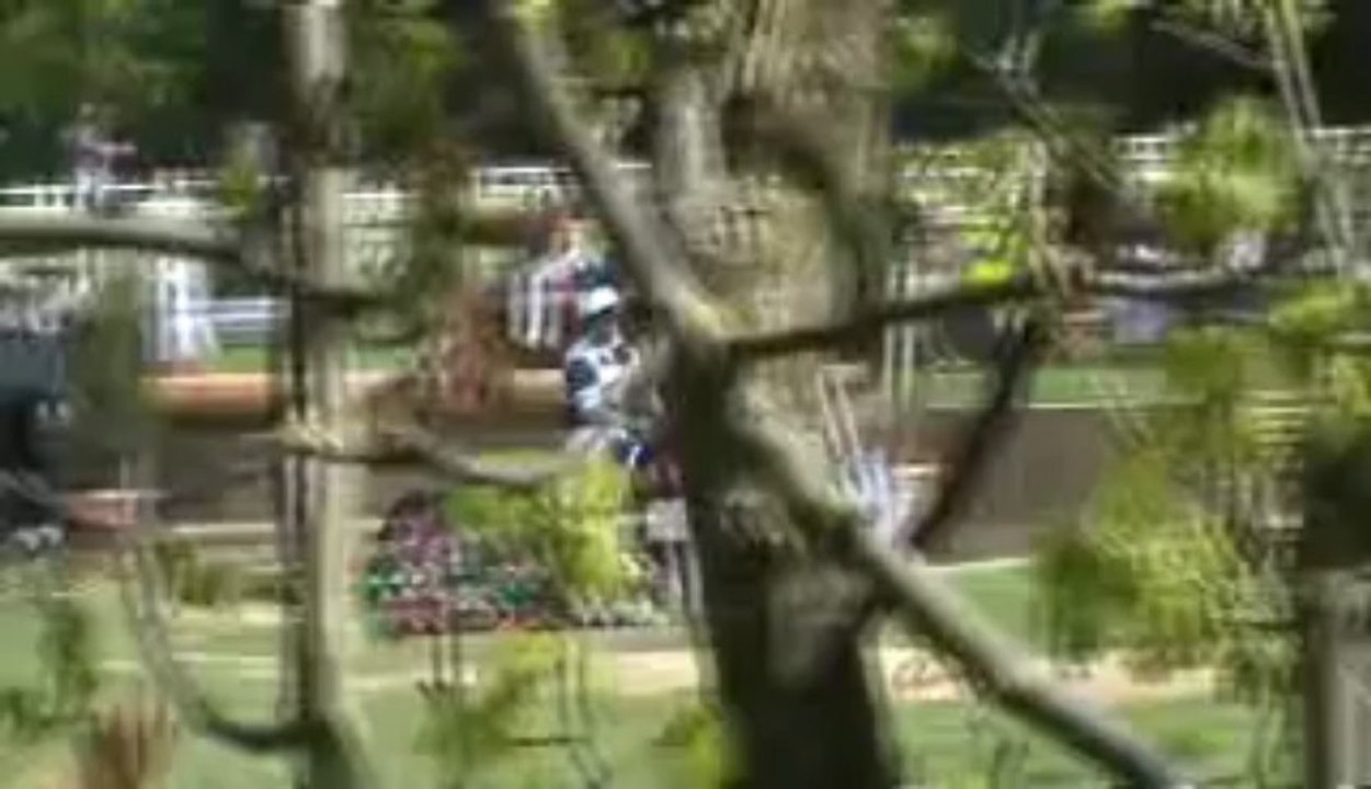 Cross Alice Jardy 4