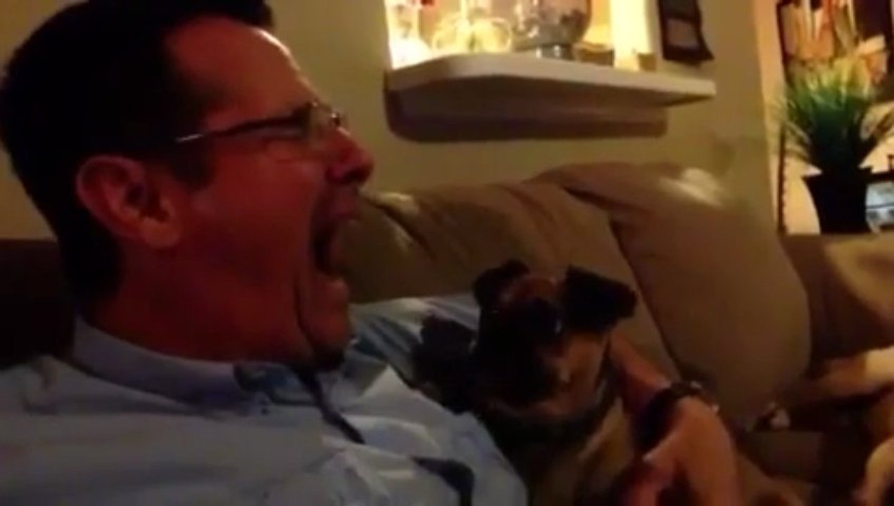 Faire baîller un chien