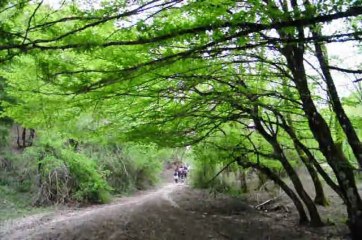 MERC.1-5-13 MONTI LUCRETILI: DAL CASTAGNETO DI S.POLO DEI CAVALIERI ALLA PIEVE DEI RONCI.