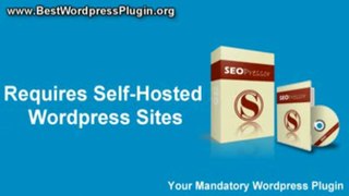 Seopressor Wordpress SEO Plugin - Now Google Friendly | Seopressor Wordpress SEO Plugin - Now Google Friendly