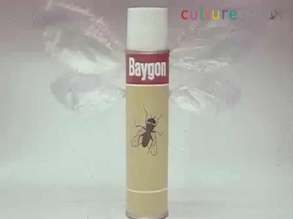 Publicité Baygon