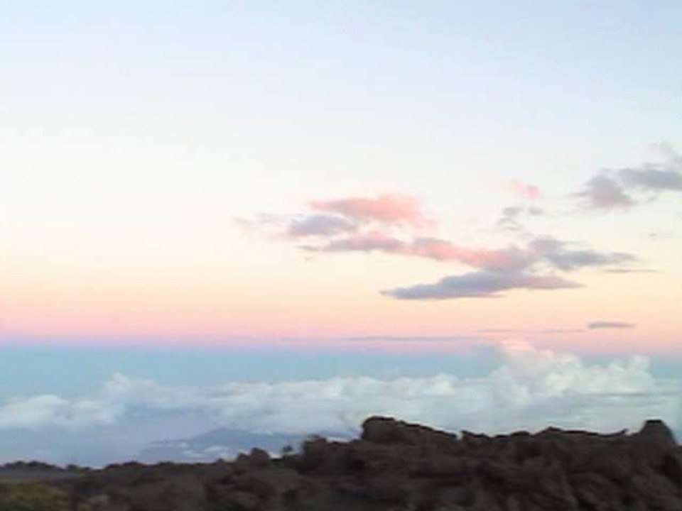 Radiation Protection Products, Cell Phone Brain Tumor