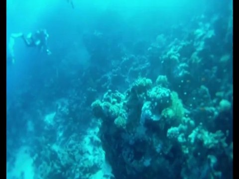 plongee derivante SAFAGA 2012