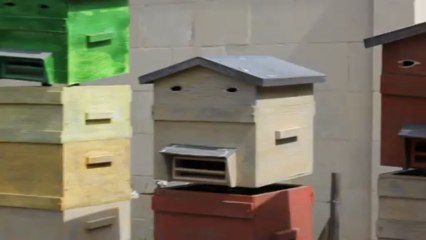 Ruches chanteuses à Terra Botanica