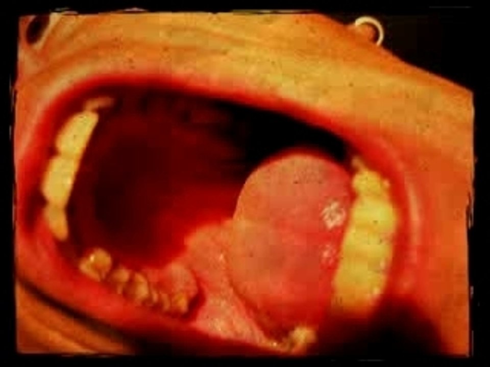 MAKINGOFF_CRIS DE BETES