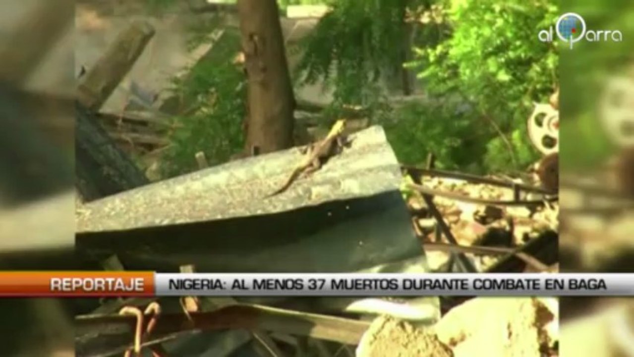 Nigeria: Almenos 37 muertos durante combate en Baga