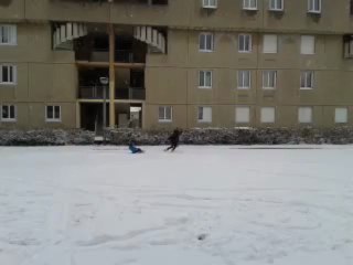 mes loulous sont contents dans la neige