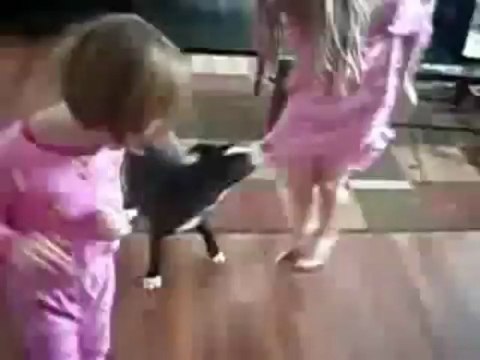 Chat protège une fille d'un chien