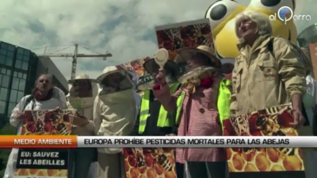 Europa prohíbe pesticidas mortales para las abejas