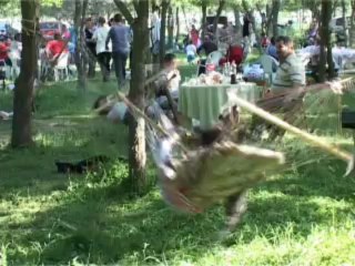 enez de dallık 2013