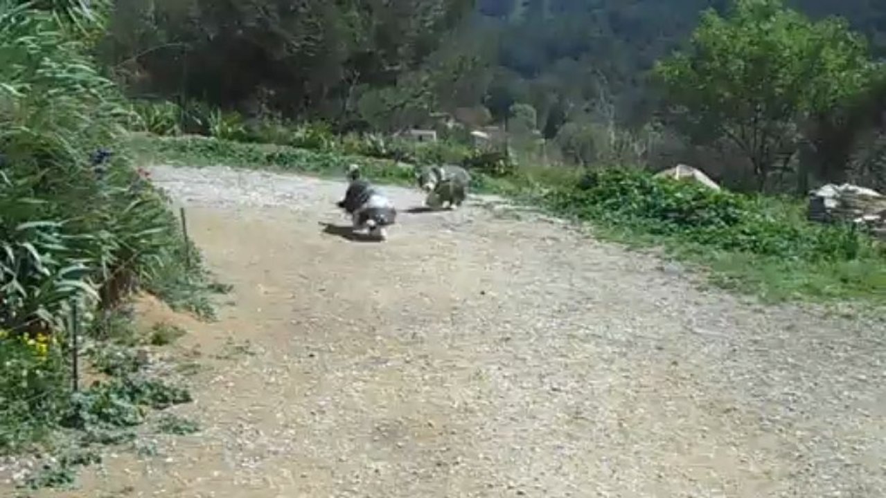 Hyoda et sa maman
