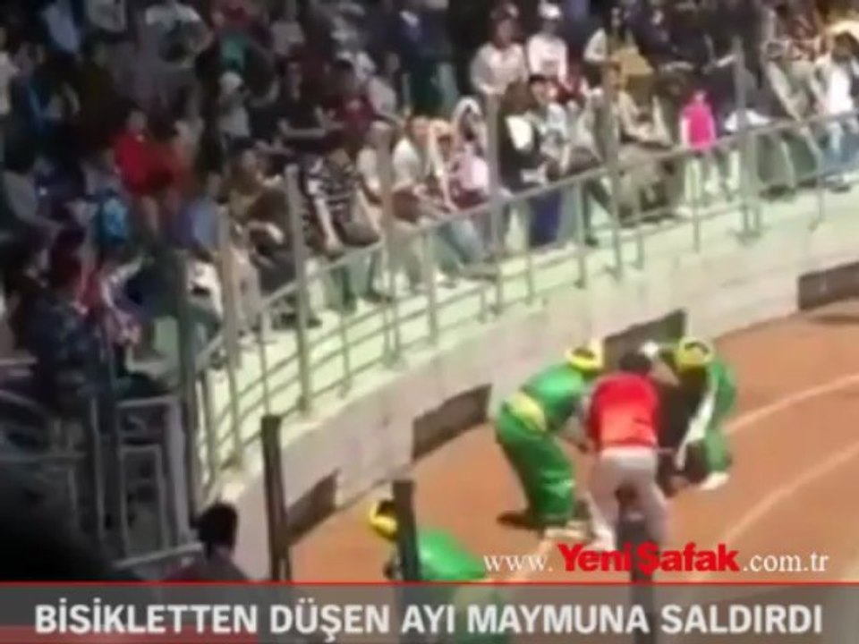Bisikletten düşen ayı, maymuna saldırdı
