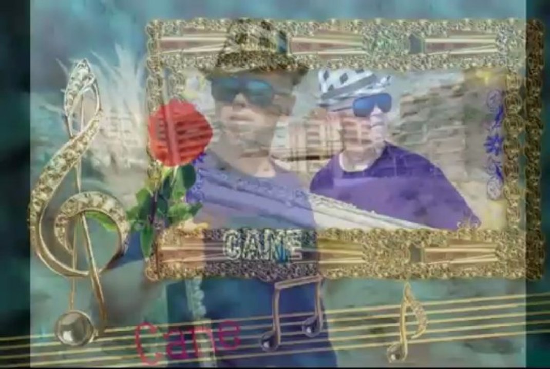 CANE NIKOLOVSKI - NELI TI STIGA MOJATA MLADOST