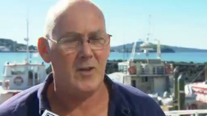 World's first carbon fibre helicopter crashes in Auckland