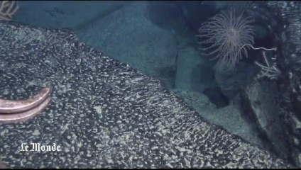 L'Atlantide brésilienne aurait été découverte par des géologues