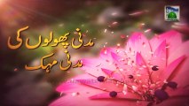Madani Channel Program - Madani Phoolon Ki Madani Mehak Ep#03 - Haji Imran Attari