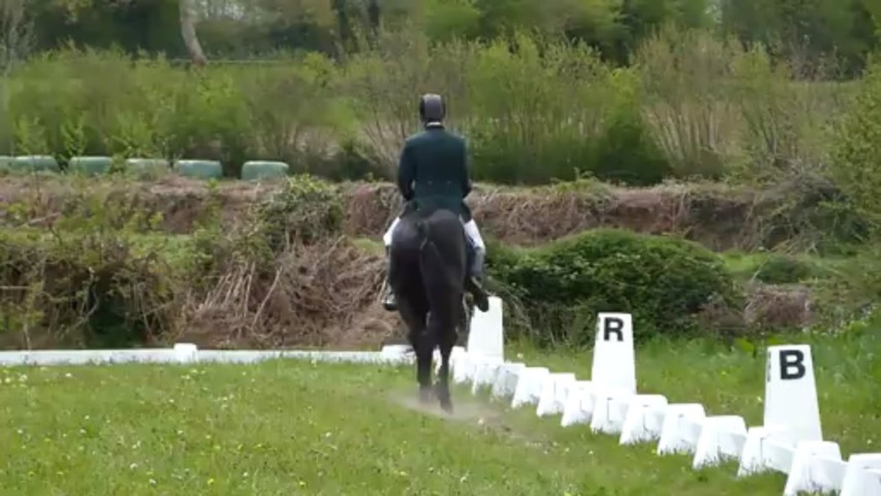 quesako dressage hautville