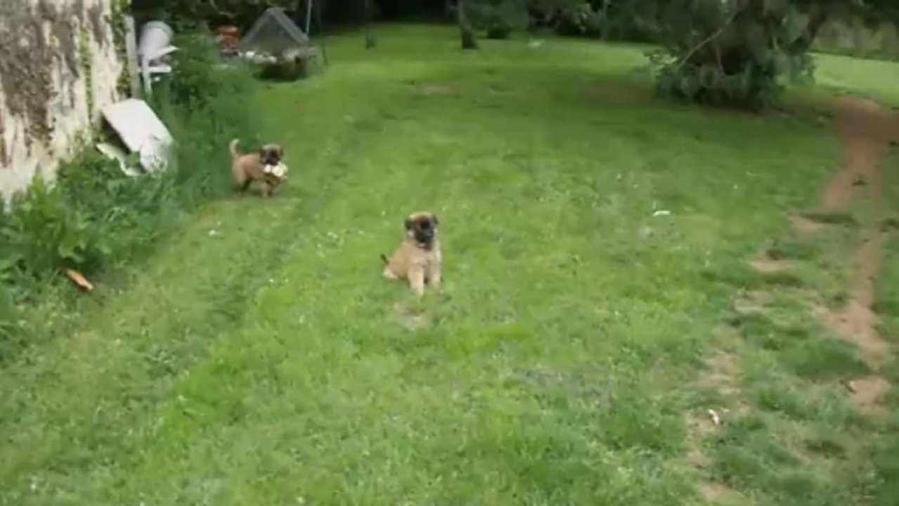 les bébés en pleine action